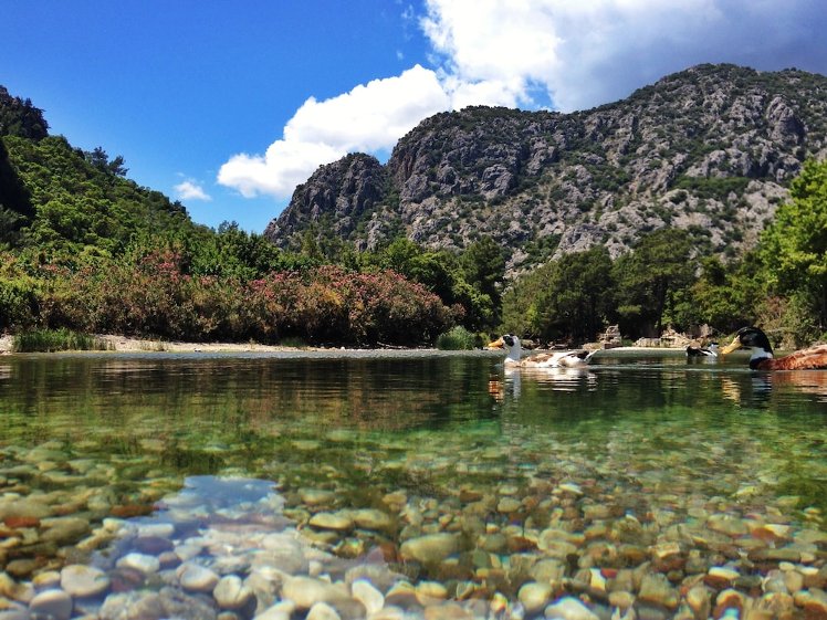 Kadir's Tree House, Antalya