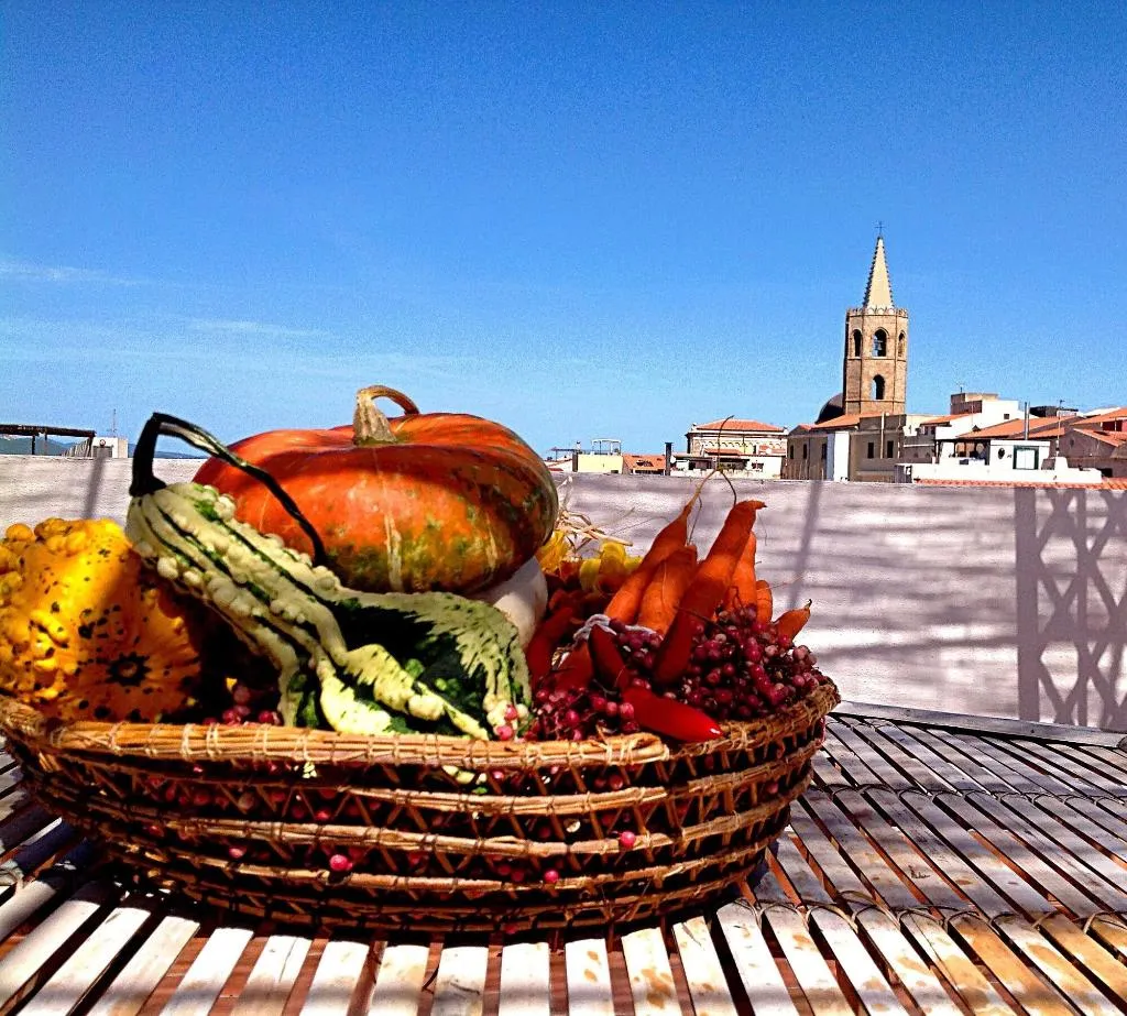 General view, B&B Alguer, Alghero