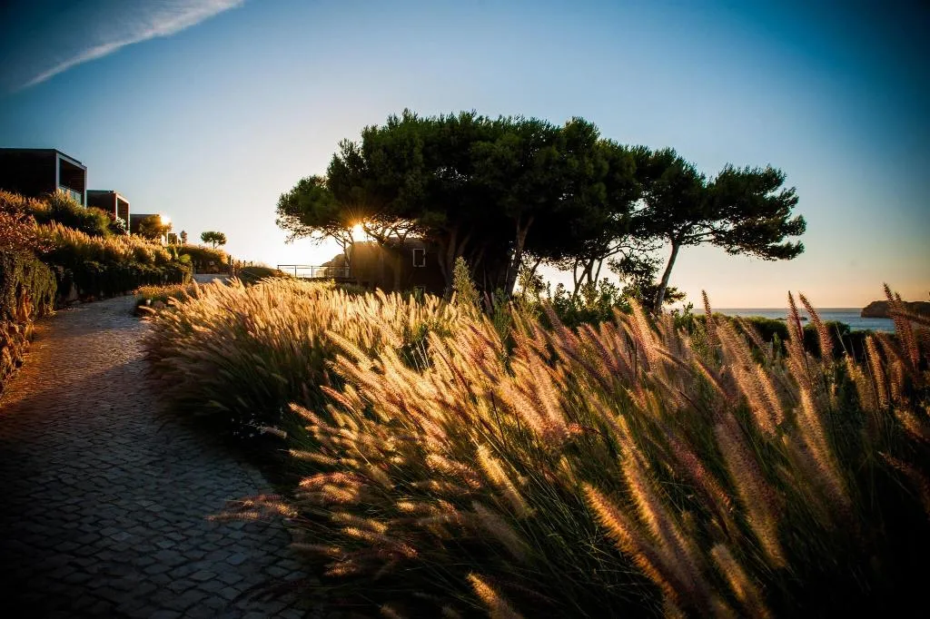 General view, Martinhal Sagres Beach Family Resort, Algarve
