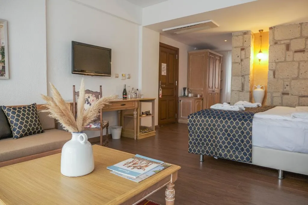 Room EXECUTIVE Room, Cocos the Club Solto, Izmir