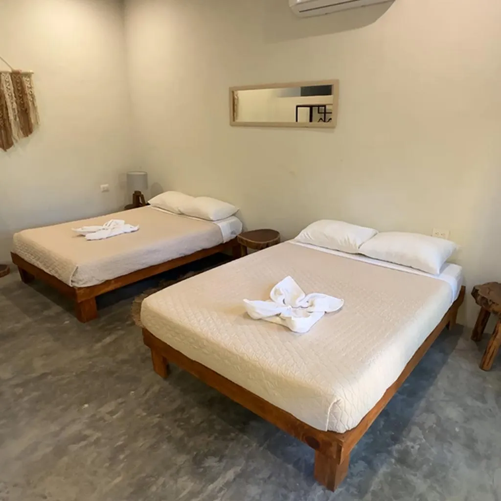 TWIN BASIC Room, Hotel Carlitos Tulum, Cancun Area