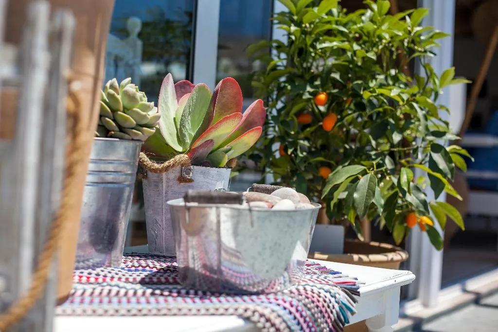Terrace, Tinas Plus Hotel, Rhodes