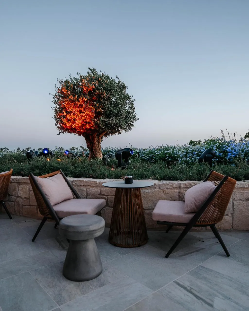 Restaurant, City Of Dreams - Mediterranean, Cyprus