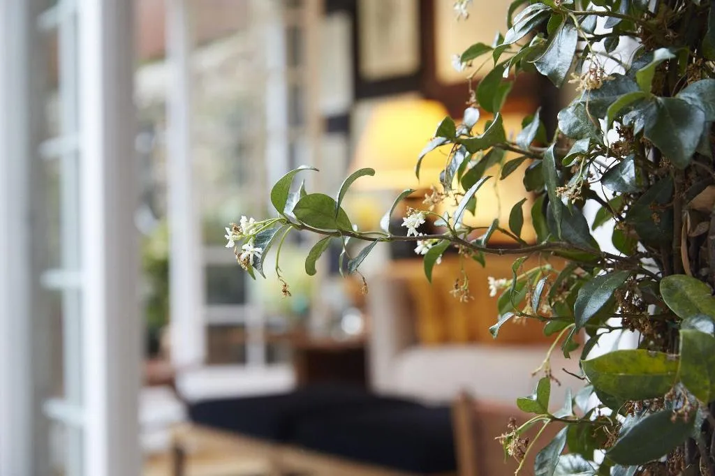 Room, Llimona Suites, Costa Brava