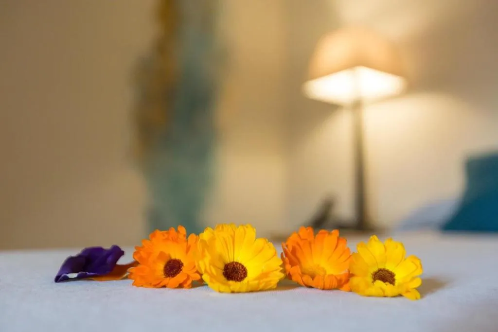 Room, Hotel Del Teatre - Adults Only, Costa Brava