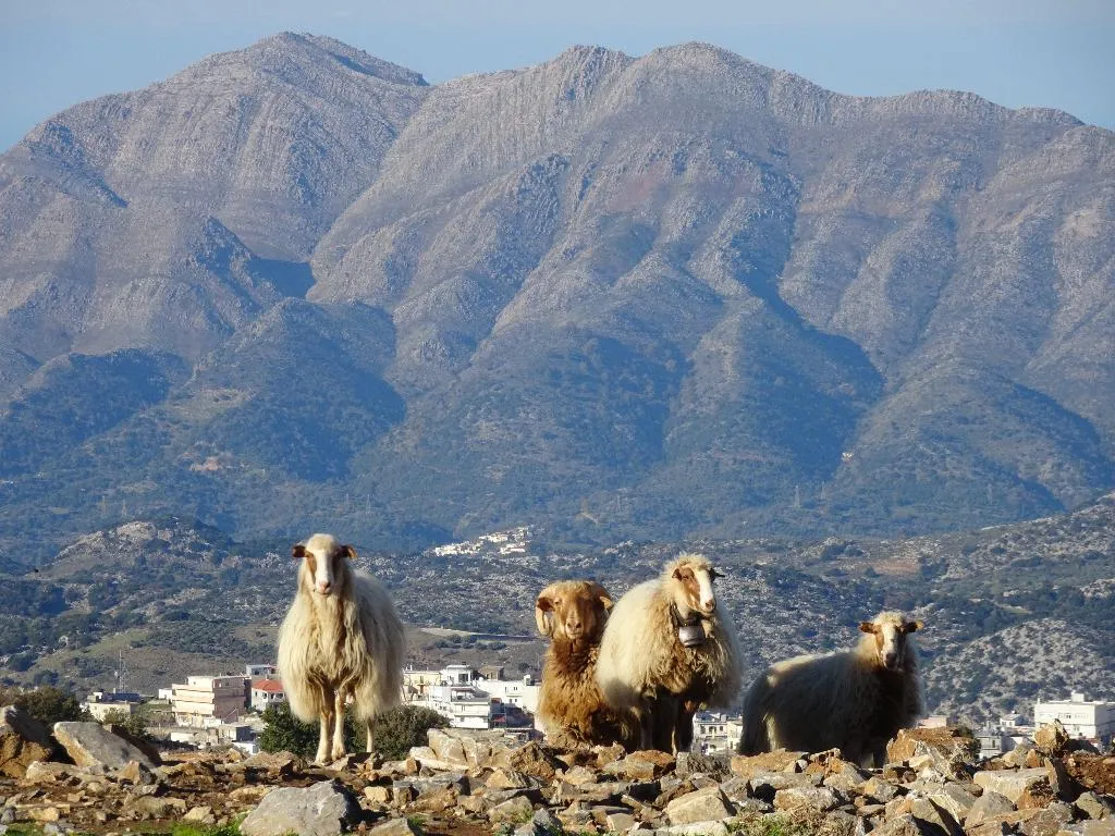 Sports and Entertainment, Delina Mountain Resort, Crete