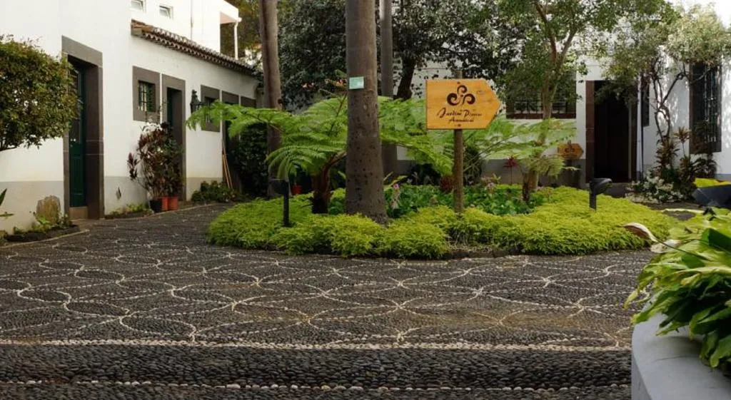 Sports and Entertainment, Residencial Queimada De Baixo, Madeira