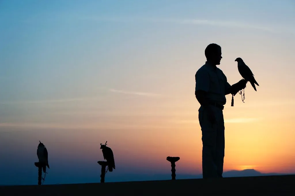 Sports and Entertainment, Al Maha, a Luxury Collection Desert Resort & Spa, Dubai