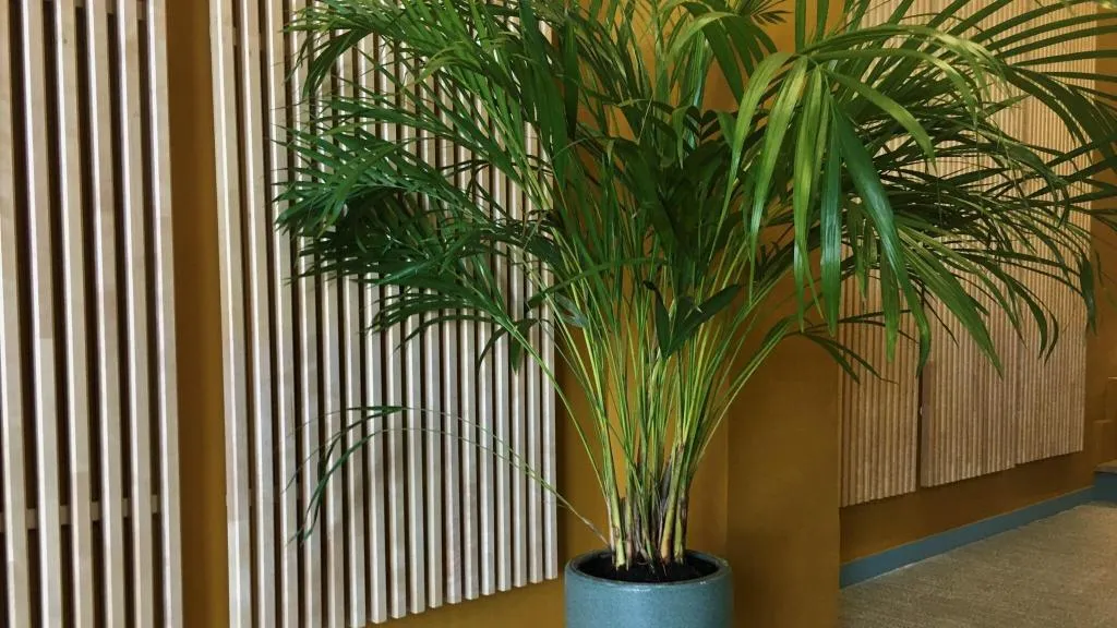 Lobby, B&B Mare de Deu Jardines del Turia, Valencia
