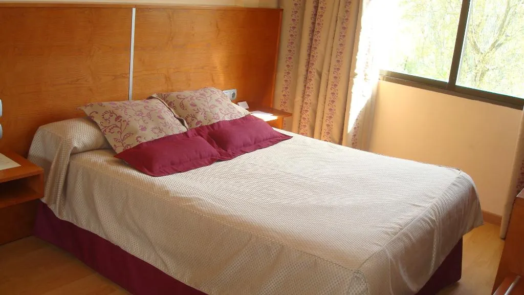 DOUBLE SINGLE USE STANDARD Room, Alfonso VIII, Madrid