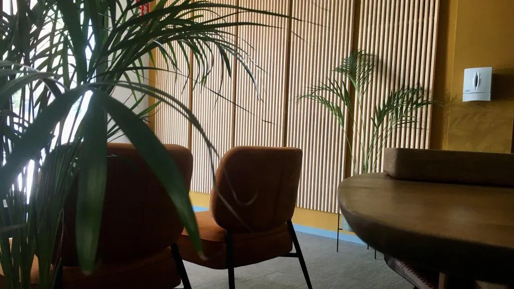 Lobby, B&B Mare de Deu Jardines del Turia, Valencia