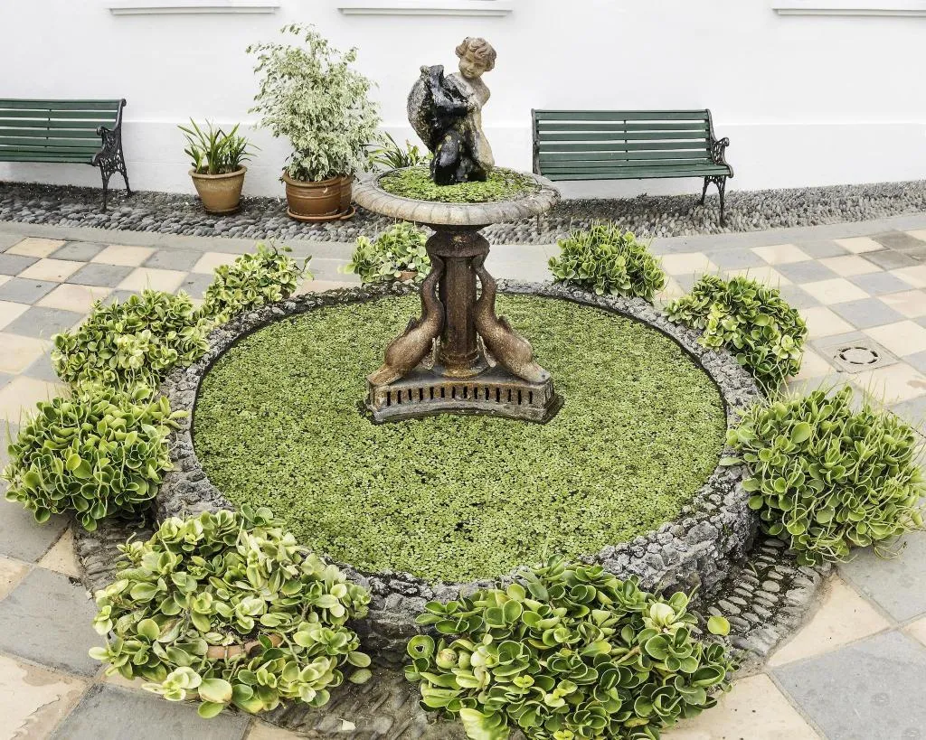 General view, Finca Malpais Trece, Tenerife