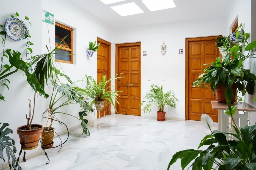 General view, Apartamentos Pepe Mesa, Costa Del Sol
