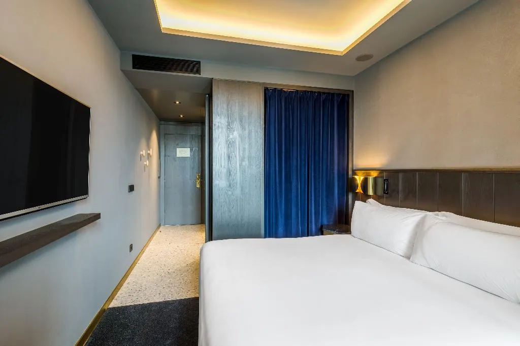 DOUBLE SINGLE USE DELUXE Room, Room Mate Collection Gerard, Barcelona, Barcelona