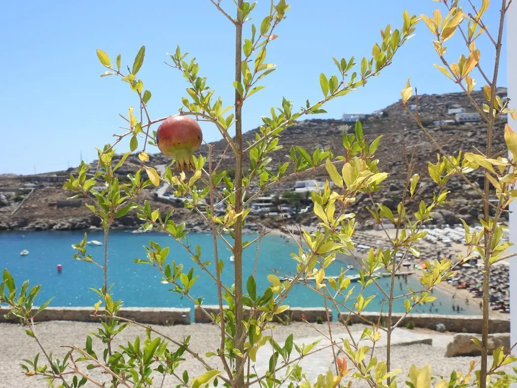 General view, Super Paradise Hotel, Mykonos