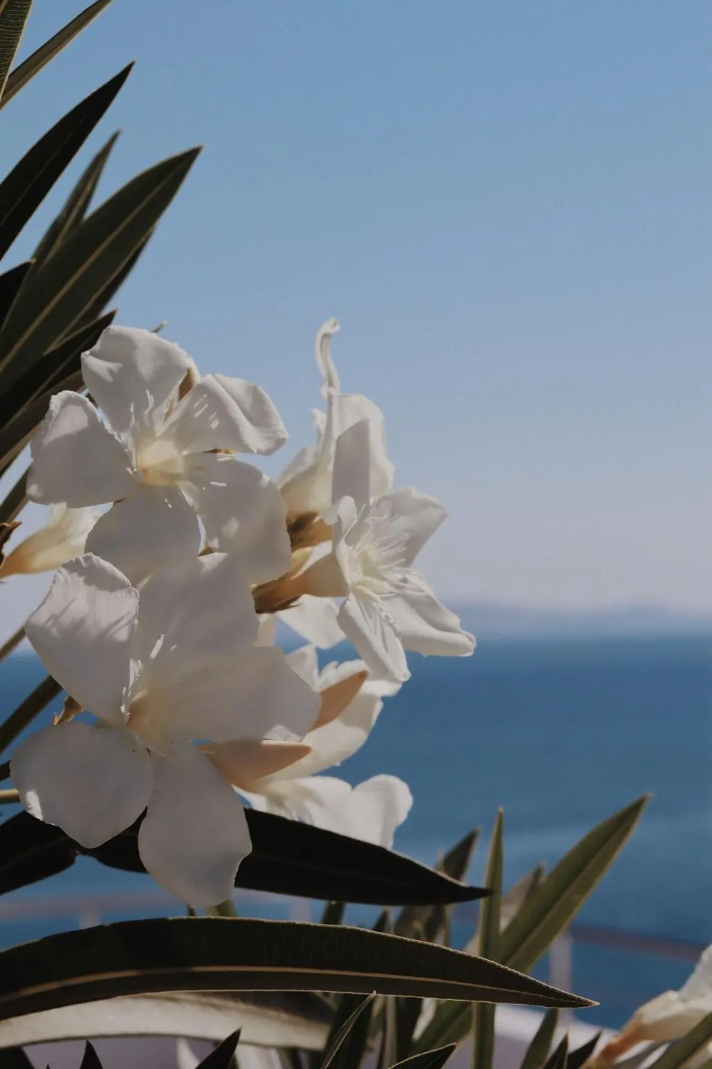 General view, Peninsula Resort & Spa, Crete