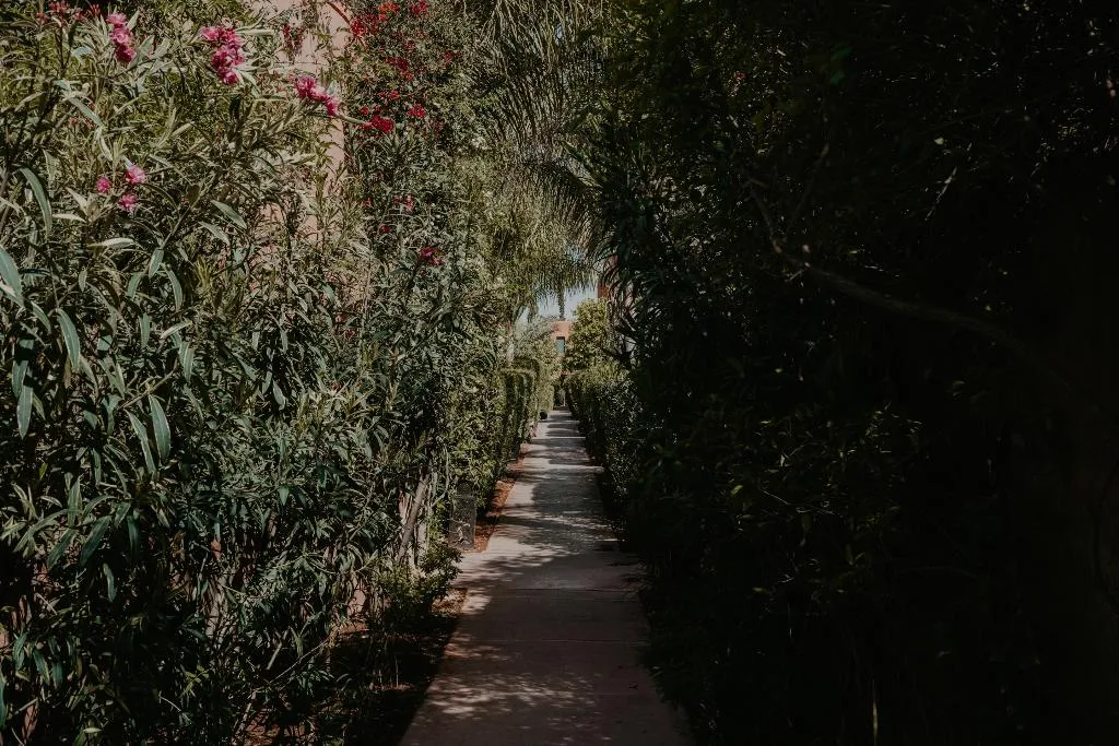 General view, Adama Resort, Marrakech