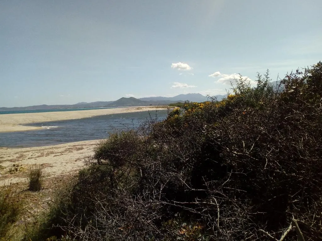 Beach, Hotel Velasole, Olbia