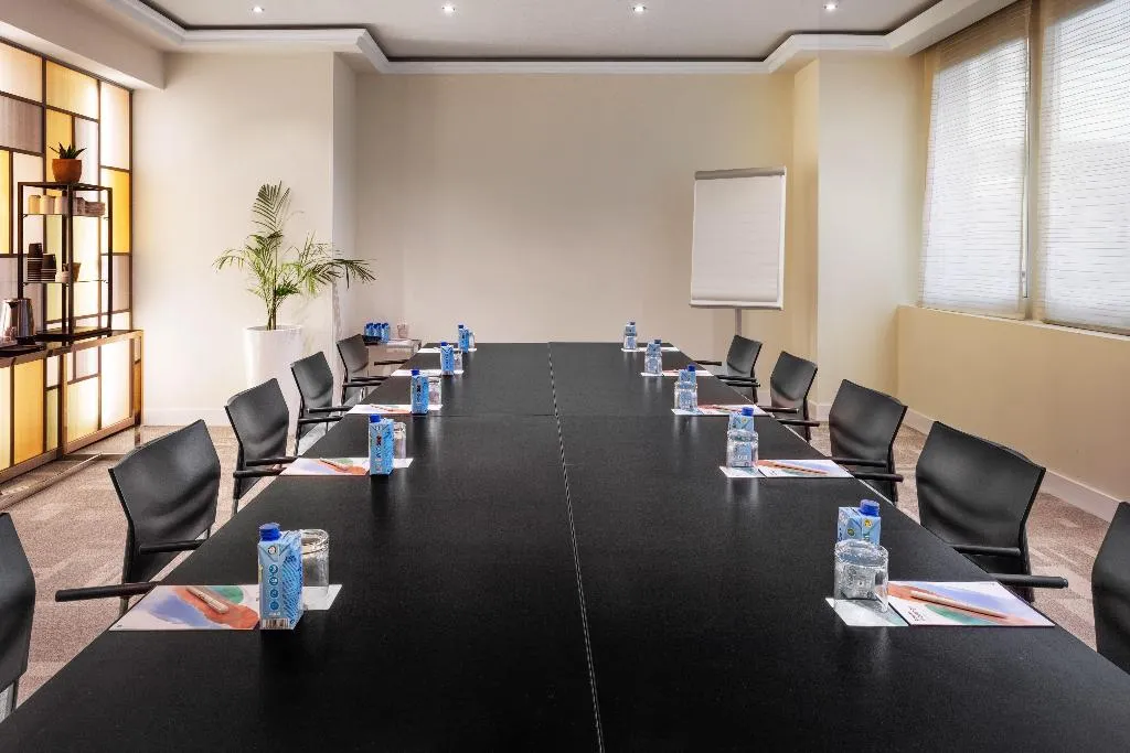 Conferences, The Level At Hotel Melia Castilla, Madrid
