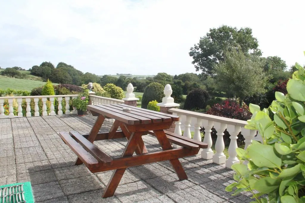 Terrace, Marguerites, Cork