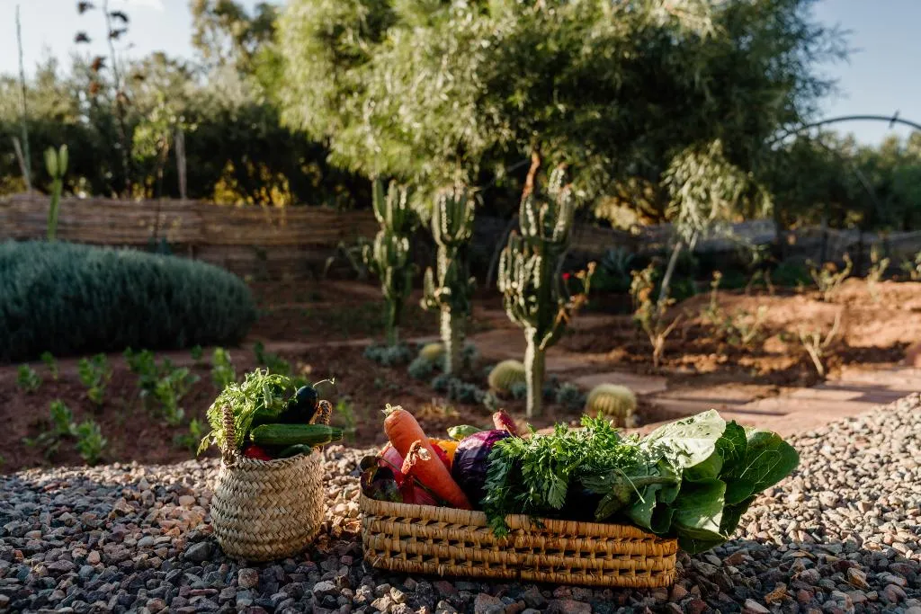 Sports and Entertainment, Adama Resort, Marrakech