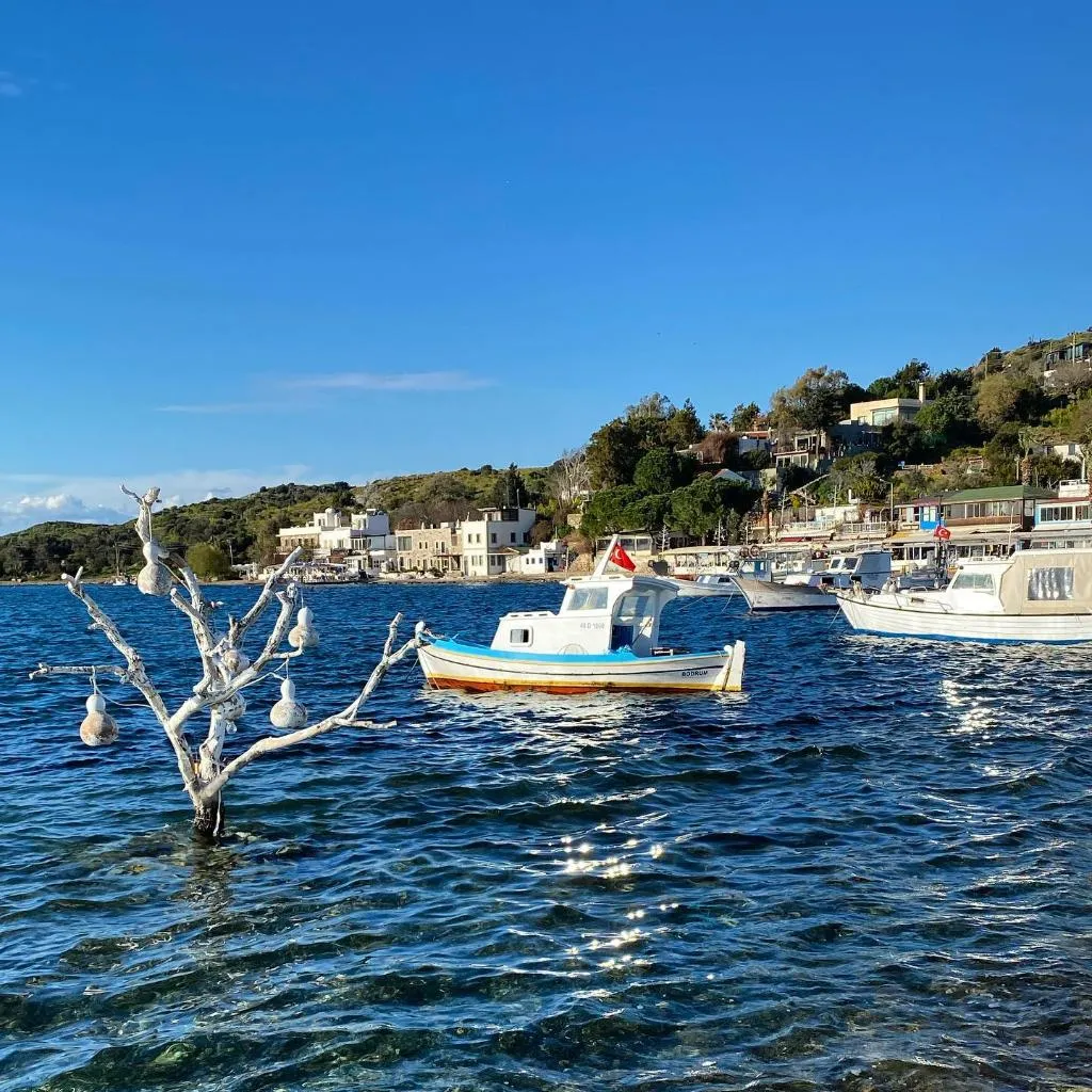 General view, Liman Hotel Gümüslük, Bodrum