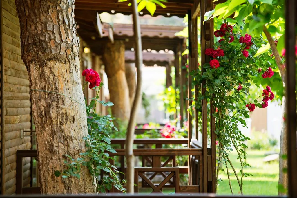 Room, Flora Garden Beach Side, Antalya