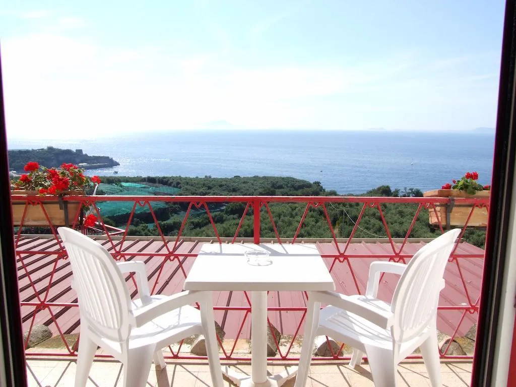 Terrace, Dania, Naples