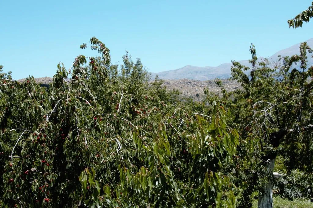 General view, Alexander Gerakari Hotel, Crete