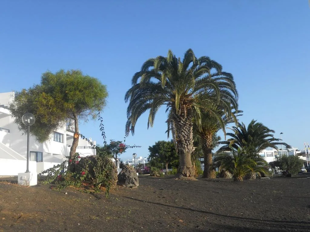 General view, Club Pocillos (Only Adults), Lanzarote