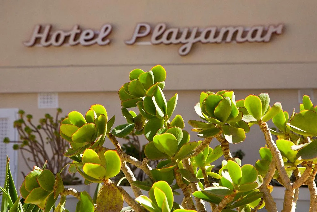 Lobby, Playamar Hotel & Apartamentos, Majorca