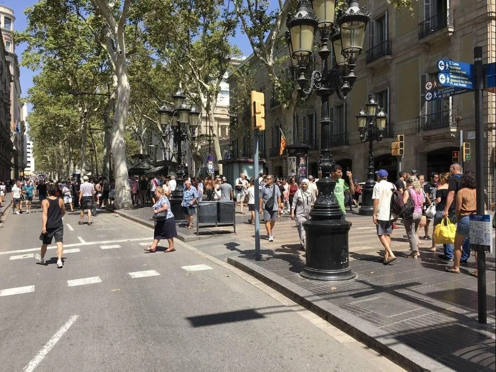 General view, Sleep Green, Barcelona