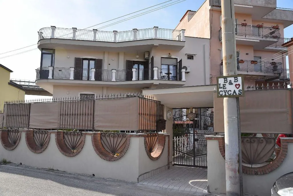 General view, B&B Le Cycas, Naples