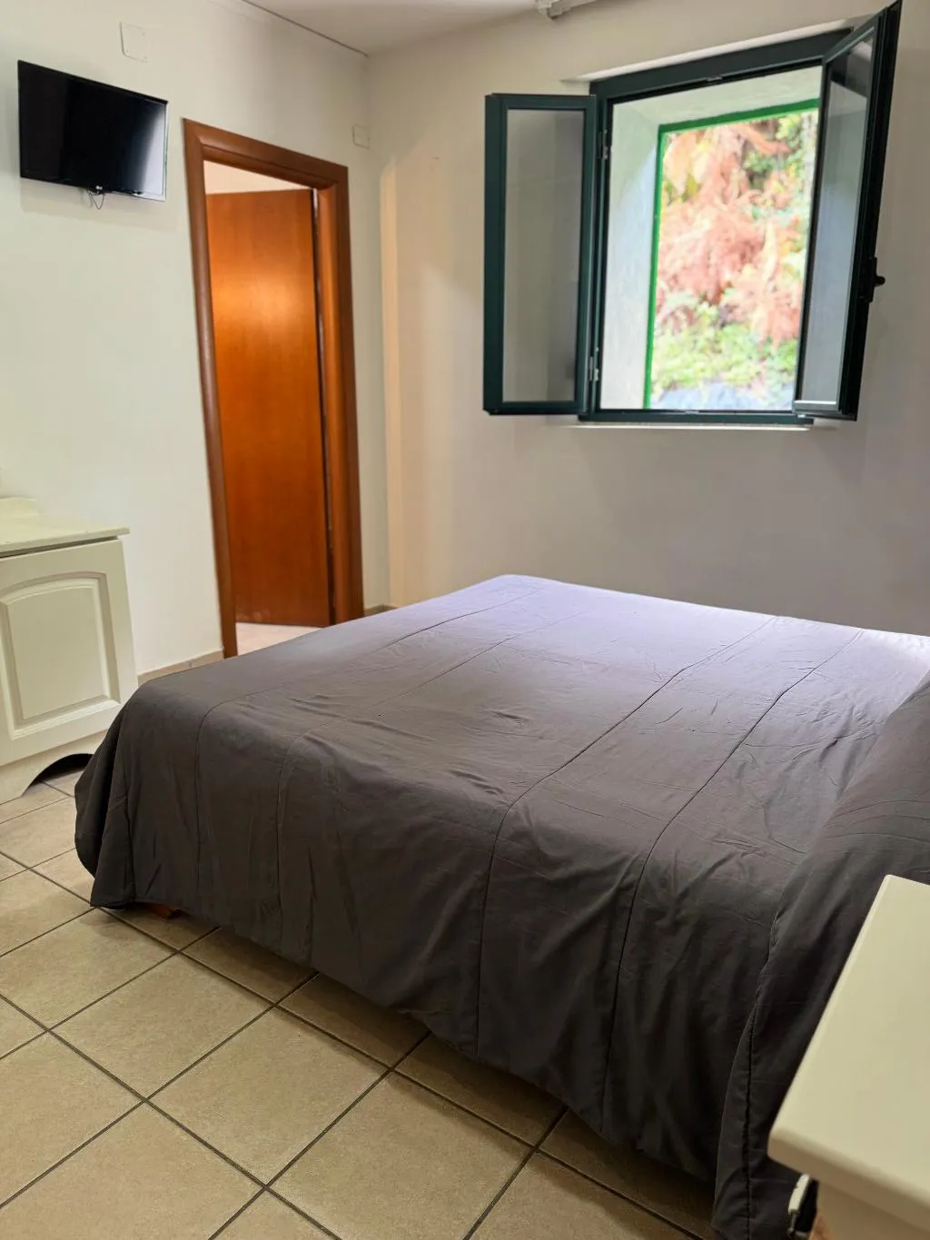 DOUBLE SINGLE USE BASIC Room, Hotel Federico II, Naples