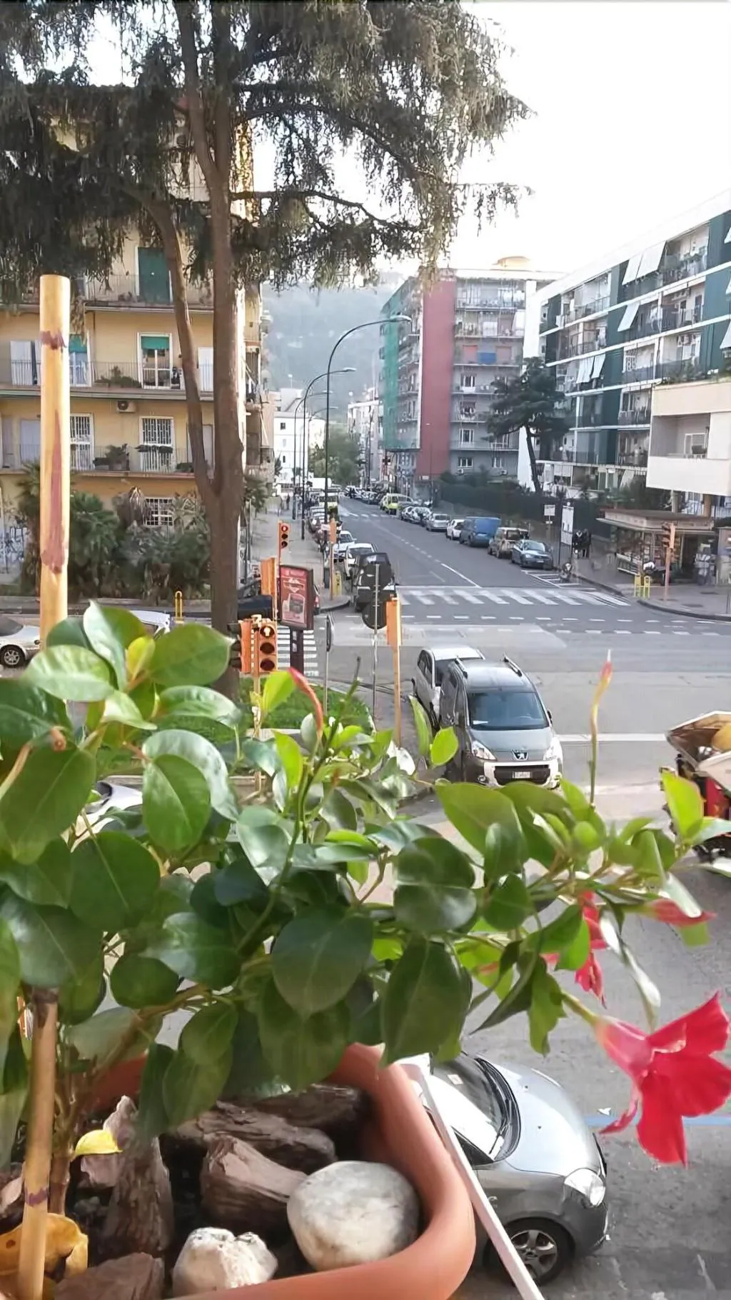 General view, Anthea B&B, Naples
