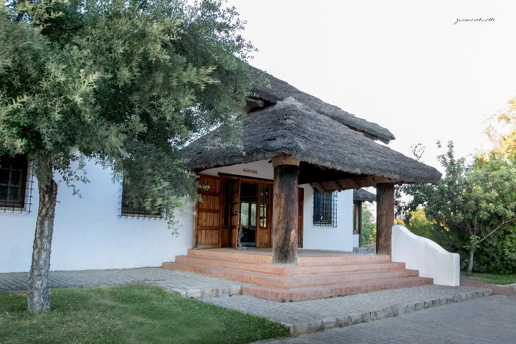 Lobby, Ardea Purpurea, Andalucia
