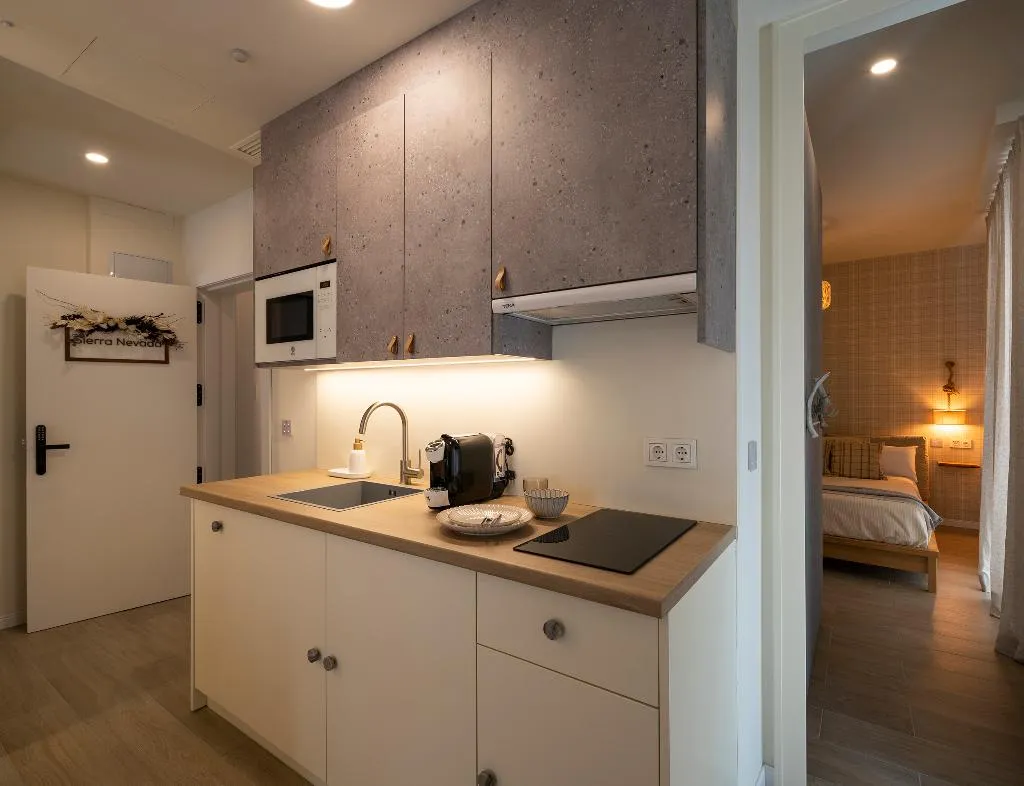 APARTMENT TWO BEDROOMS Room, Palatina Concept Suites, Andalucia