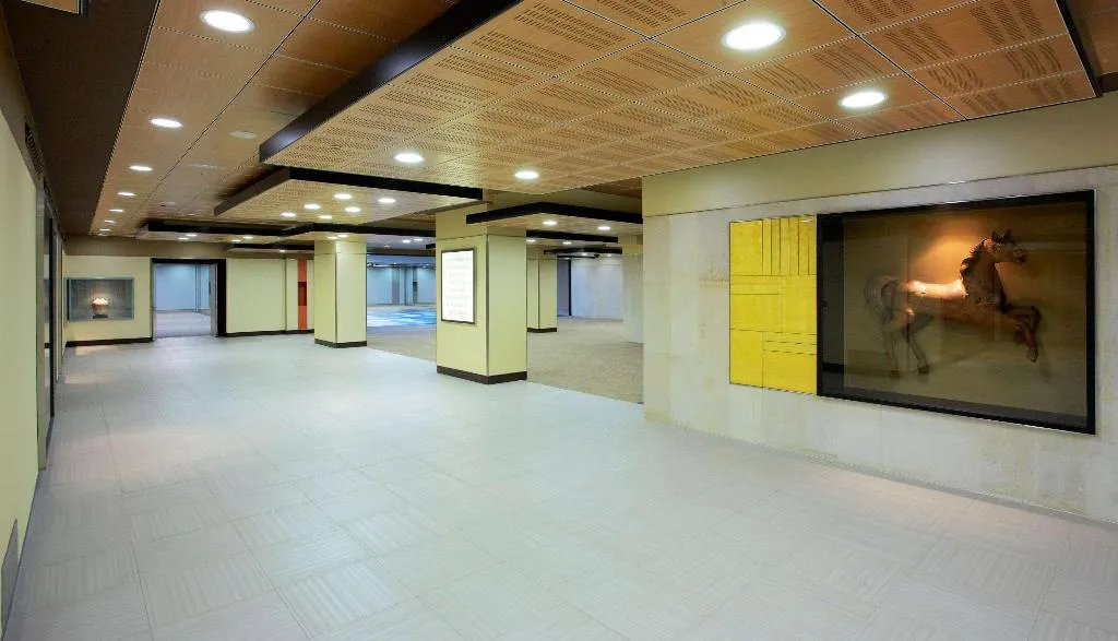 Conferences, The Level At Hotel Melia Castilla, Madrid