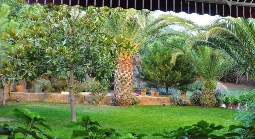 General view, Palm Court Suites, Izmir