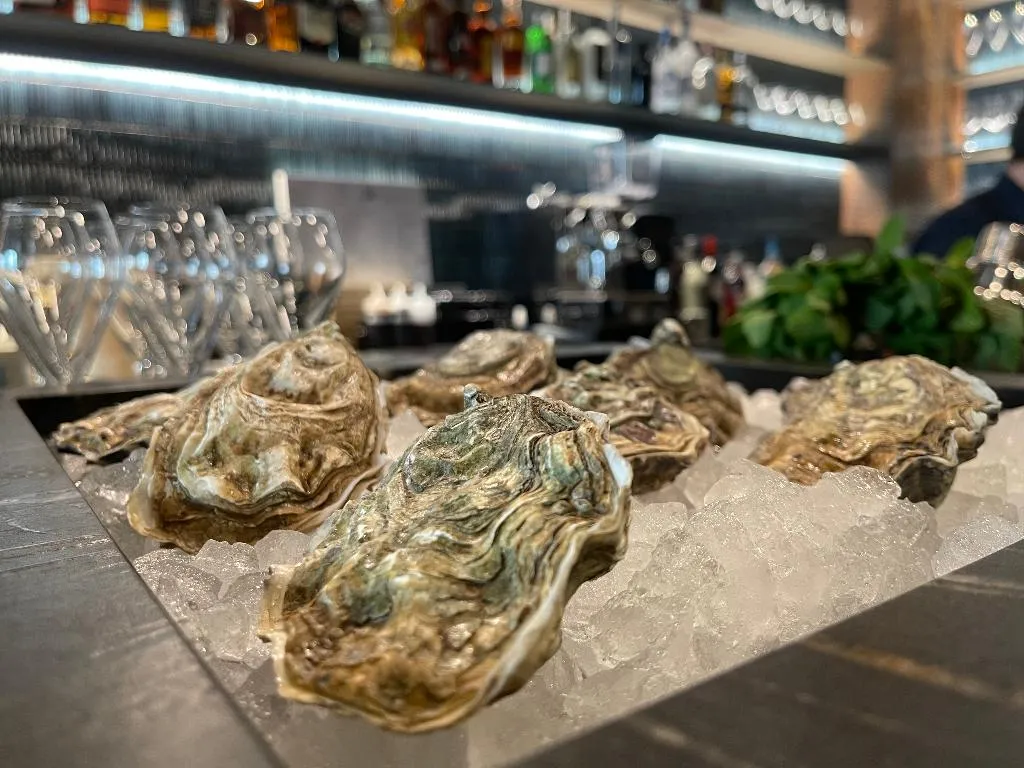 Bar, Hotel Medinaceli 4*S, Barcelona