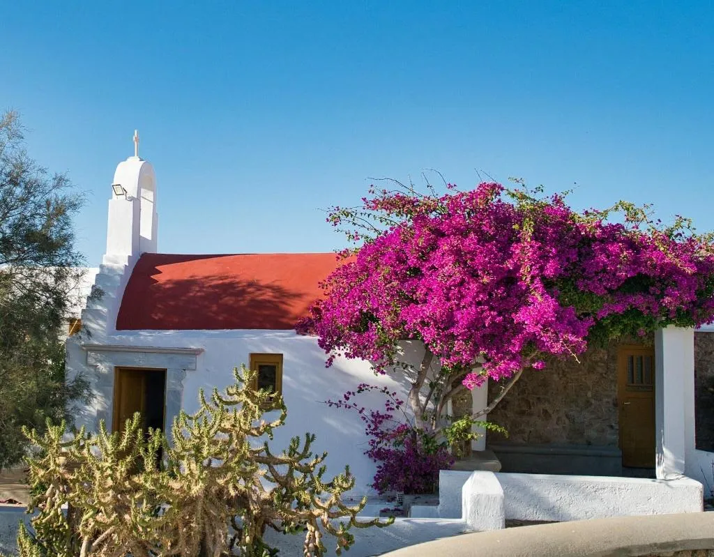 General view, San Antonio Summerland, Mykonos