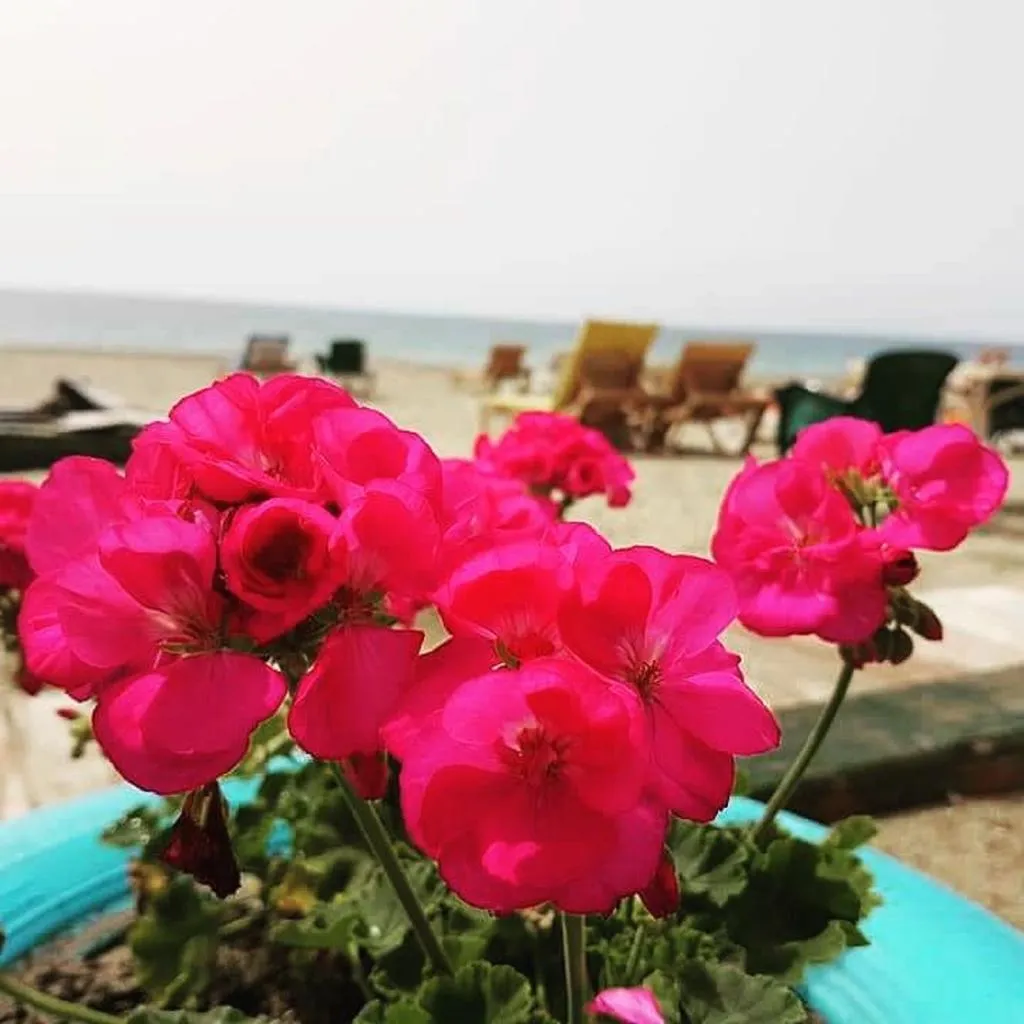 Beach, Miss Cleopatra Hotel, Antalya