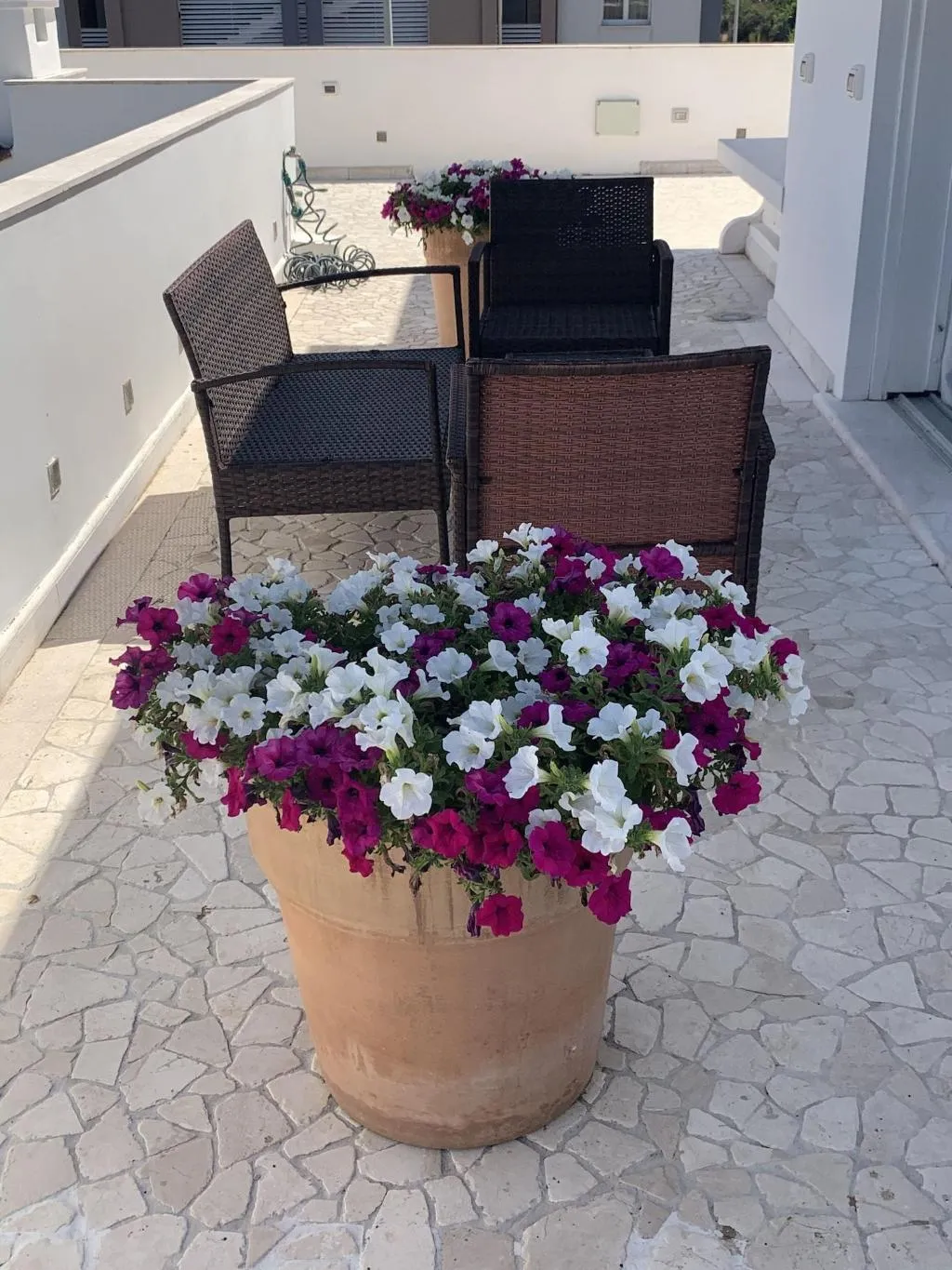 Room, White House Luxury Hospitality, Olbia