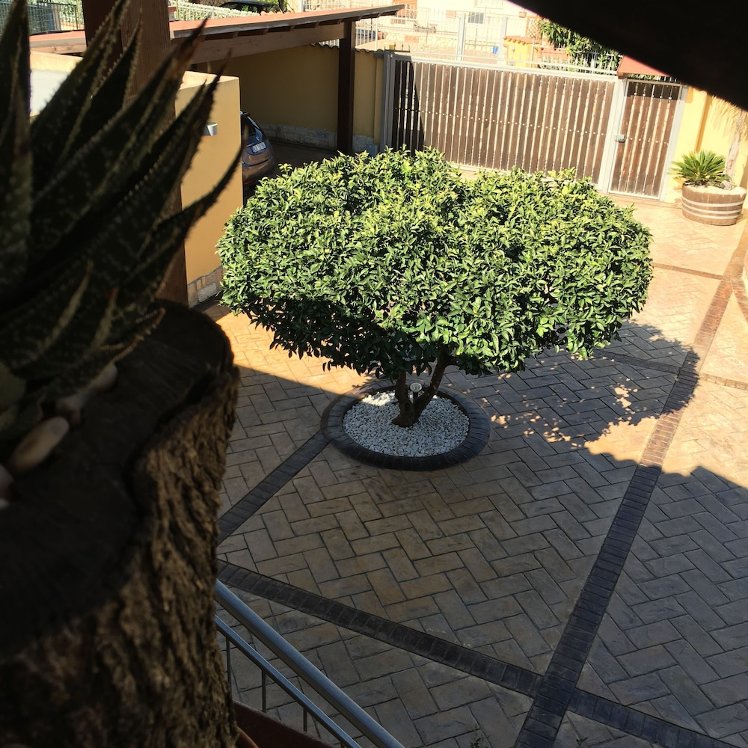 B&B Templi e Arte - Agrigento -, Catania