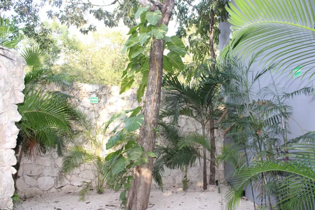 General view, Kuun Taak Tulum, Cancun Area