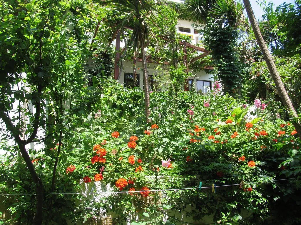 General view, Aris, Crete
