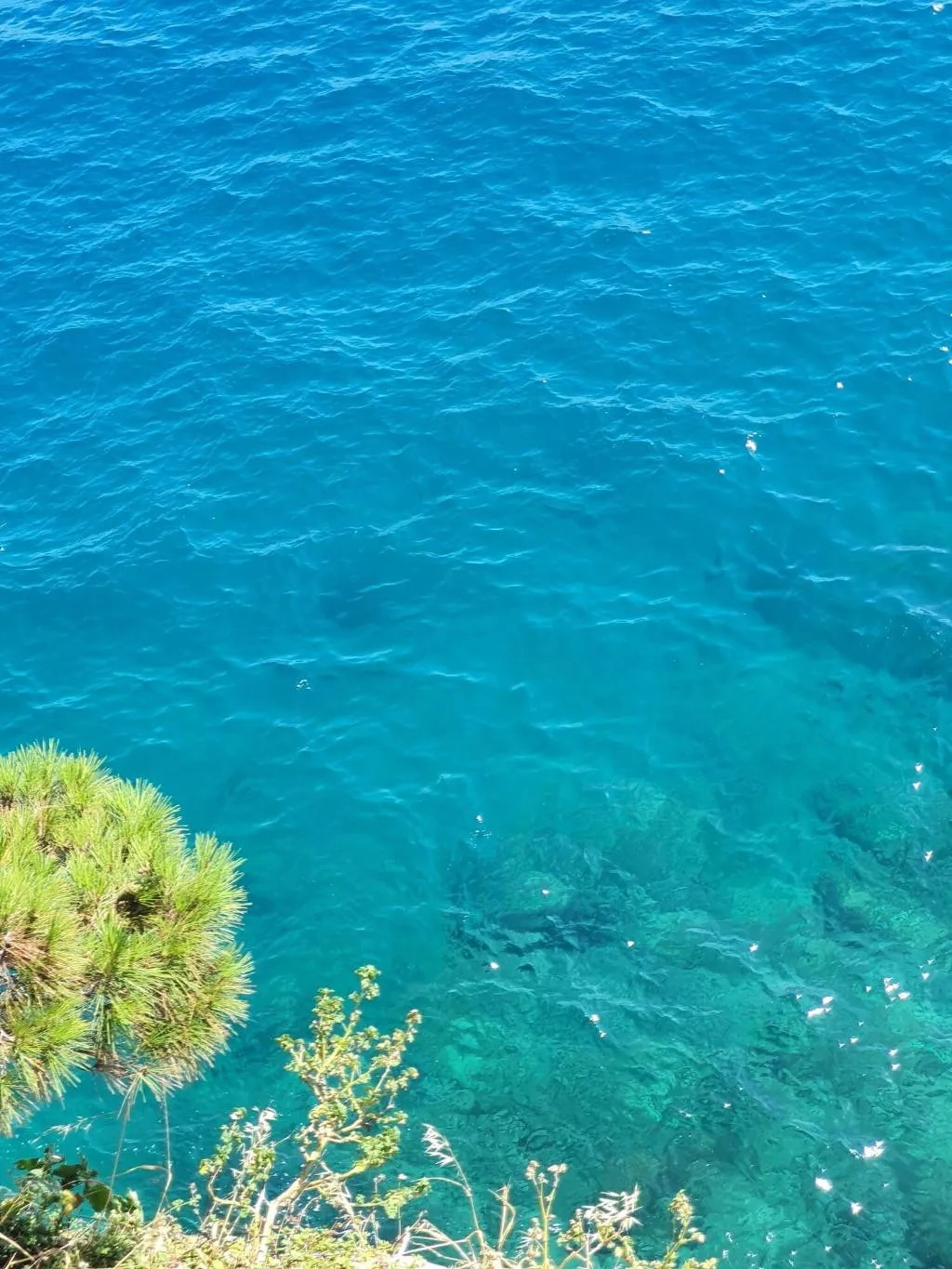 General view, Violeta Hvar, Split