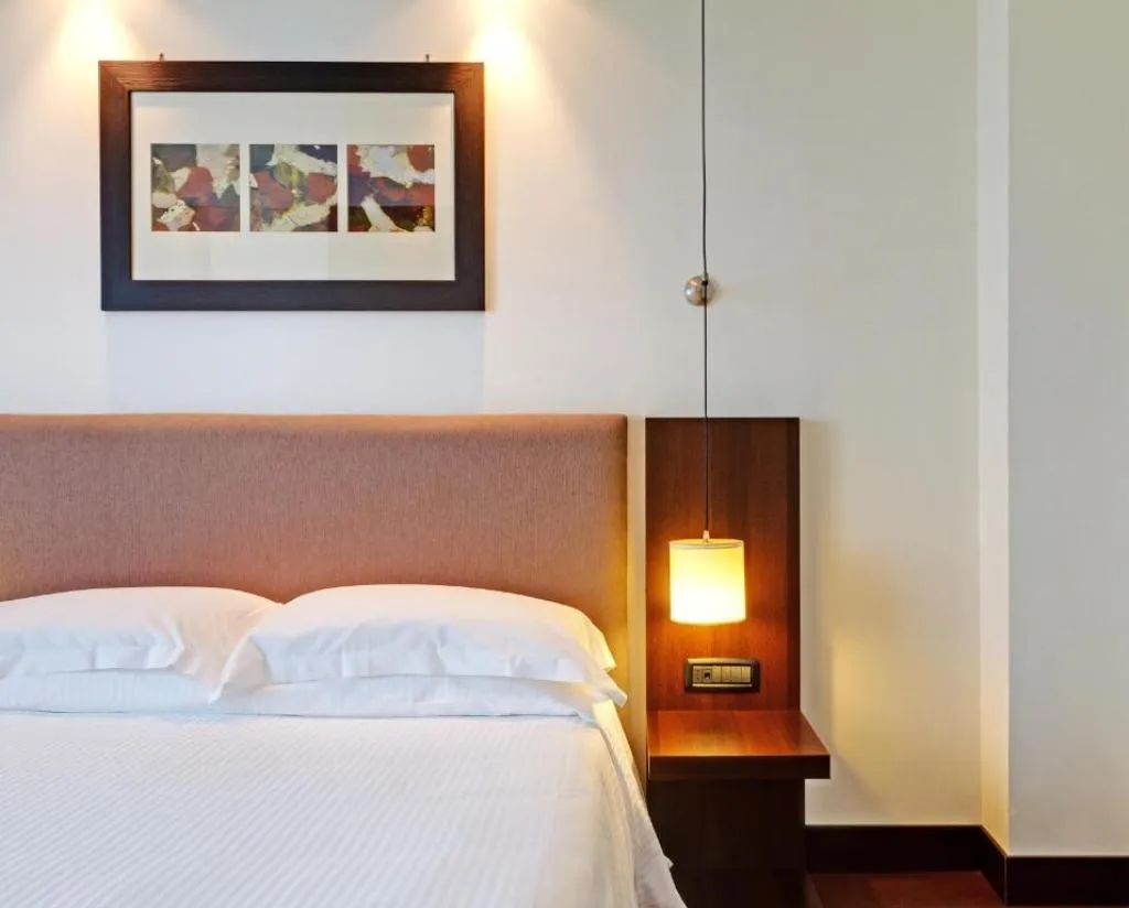 DOUBLE ECONOMY Room, Th Roma - Carpegna Palace, Rome