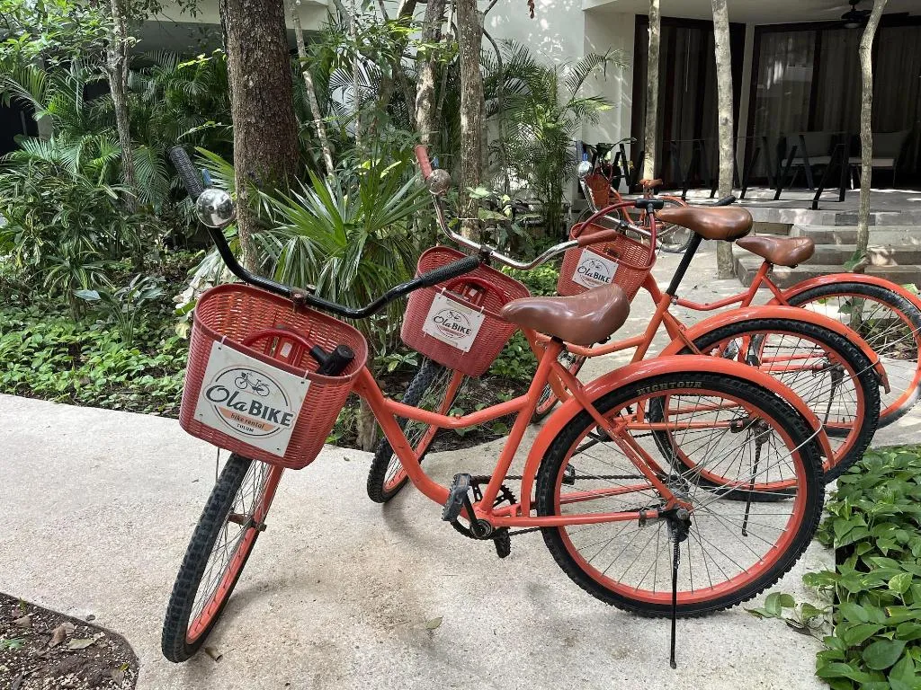Sports and Entertainment, K'uyen Boutique Hotel, Cancun Area