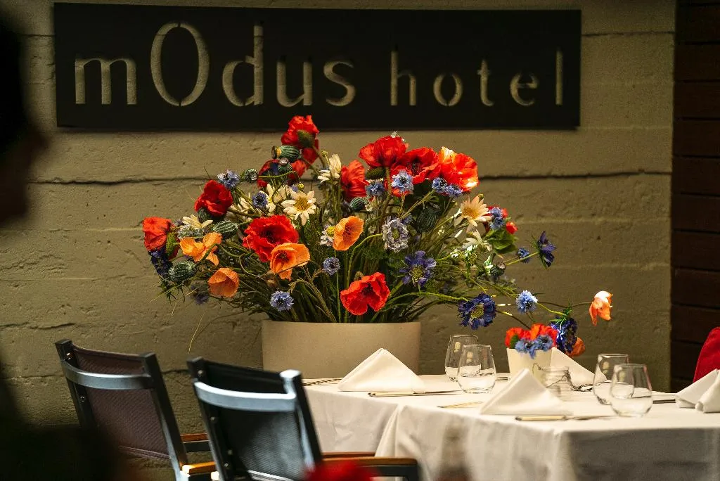 Restaurant, Modus, Varna